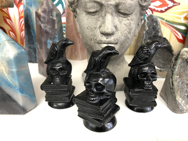 Obsidian Raven on Skull & Books