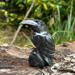 Black Onyx Raven (Small)