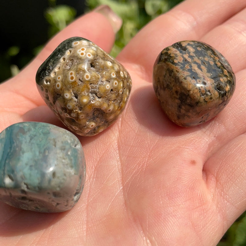 Ocean Jasper Tumble Stones