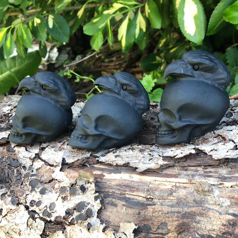 Obsidian Raven Skull